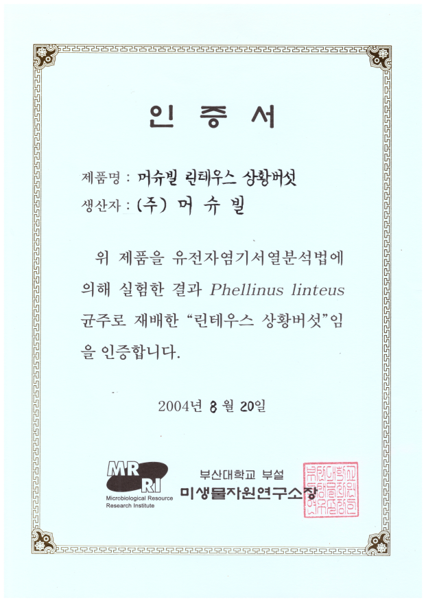 인증서